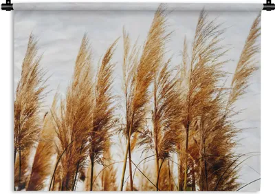 Produktbild von MuchoWow® Wandteppich Wandbehang Pampasgras - Sonne - Gras 120x90 cm Tapisserie Dekoration Wandtuch - Wohnen - Aufhänger für die Wand