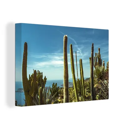 Obrázek produktu pro OneMillionCanvasses® Malba na plátně Nástěnná malba na plátně - Kaktus - moře - nebe - 150x100cm