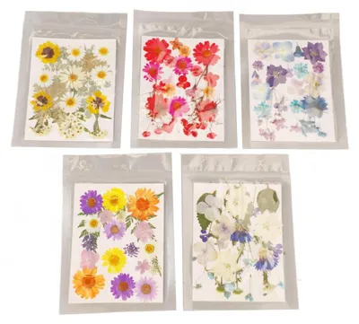 Gepresste Blumen, 100 Stück, für DIY, Scrapbooking, Kunsthandwerk