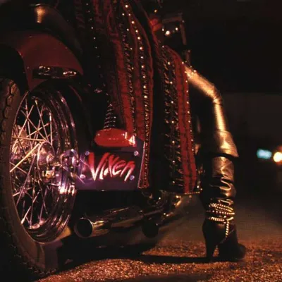 Imagen del producto de Vixen