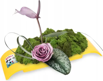 Zdjęcie produktu dla KADAX Doniczka Osłonka Donica Ikebana Kolory Kompozycja