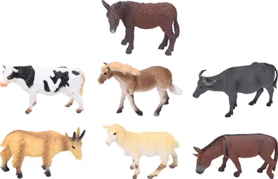Produktbild von Detailliertes Tierfiguren-Set zum Lernen und Spielen, 12 cm, ab 3 Jahren