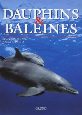 Produktbild von Delfine und Wale