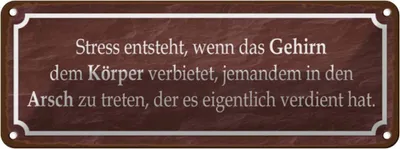 Produktbild von vianmo Blechschild 10x27 cm Stress entsteht wenn das Gehirn Spruch Zitat