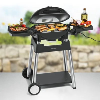 Image de ROMMELSBACHER Barbecue avec chariot BBQ 4100/S