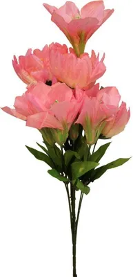 Produktbild von Strauß aus 9 Blumen, Mischung aus Lilie und Amarillie, rosa