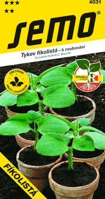 Obrázok produktu pre TEKVICA na štepenie Fíkolistá