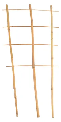 Produktbild von BURI Bambus Spalier 60cm Rankhilfe Blumenstütze Rankgitter Kletterhilfe Topfpflanzen
