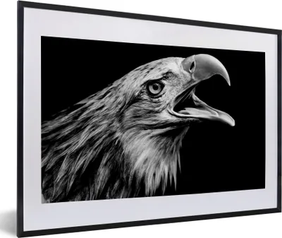 Produktbild von MuchoWow® Gerahmtes Poster Adler - Porträt - Raubvögel - Schwarz - Weiß - Vogel 60x40 cm - Poster mit Schwarzem Bilderrahmen Wandposter Rahmen Foto Bilder - Schlafzimmer - Plakat in Rahmen - Drucken