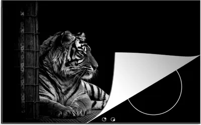 Produktbild von KitchenYeah© Herdabdeckplatte Tiger - Tiere - Schwarz - Weiß , 81x52cm, Küche Deko, Glaskeramikkochfeld Herdabdeckung, Abdeckplatte fùr Kochfeld