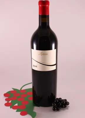 Obrázok produktu pre Merlot Riserva Gant - ročník 2022 - Kellerei Andrian