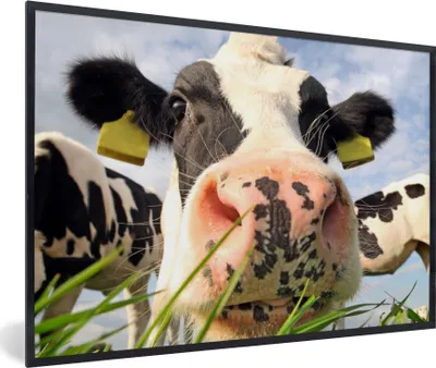 Produktbild von MuchoWow® Gerahmtes Poster Kuh - Bauernhof - Gras - Tiere 90x60 cm - Poster mit Schwarzem Bilderrahmen Wandposter Rahmen Foto Bilder - Fotorahmen - Foto-Plakat