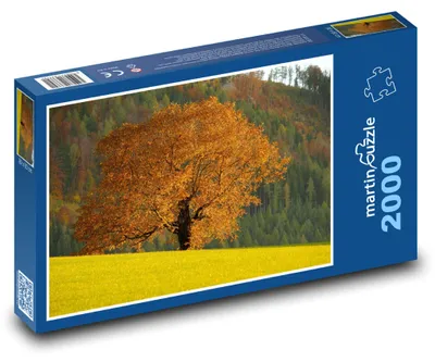Zdjęcie produktu dla martinpuzzle - Puzzle 2000 - Jesienne drzewo