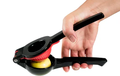 Fuchs 3 teilige Zitronenpresse mit Größenadapter Serie Squeezy