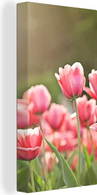 Produktbild von MuchoWow® - Leinwandbilder - Tulpen - Sonne - Frühling, Wandbild, Wanddeko Bilder Wohnzimmer, 40x80 cm
