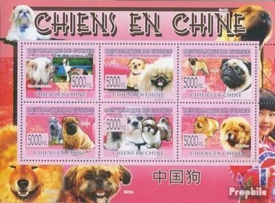 Produktbild von Briefmarken Guinea 2008 Mi 6095-6100 Kleinbogen (kompl. Ausgabe) postfrisch Hunde der Chinesen