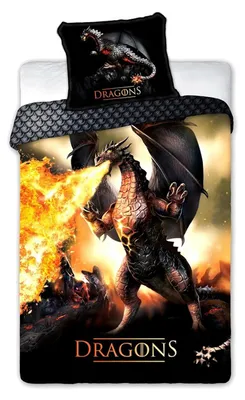Image de Faro Coton literie 140x200 Dragons 027 Fiery Dragon noir orange taie d'oreiller 70x90