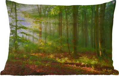 Produktbild von MuchoWow® Outdoor Kissen - Sonne - Wald - Bäume - Natur - Herbst - 50x30 cm - Wetterfest - Lounge Kissen - Sofa kissen - Wohnzimmer Dekoration