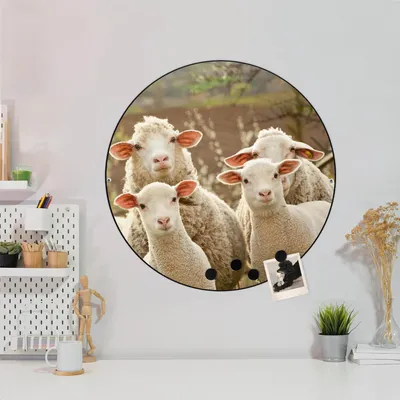 Produktbild von Design Stahlmagnettafel Schwarz Rund 47cm Schaffamilie