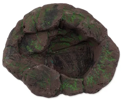 Obrázek produktu pro Jezírko Repti Planet terarijní 23x19x4,5cm