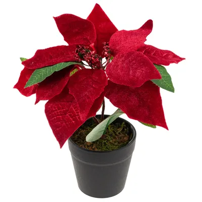 Obrázek produktu pro Betlémská hvězda Umělá sametová v květináči Poinsettia Realistická betlémská hvězda Květina