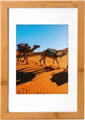 Produktbild von Goldbuch Holz-Fotorahmen Bamboo 20 x 30 cm