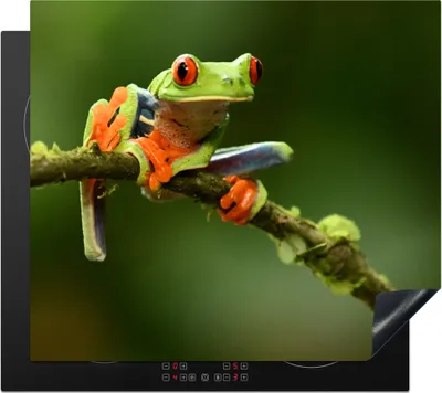 Produktbild von KitchenYeah© Herdabdeckplatte Frosch - Reptilien - Auge , 58x51cm, Küche Deko, Glaskeramikkochfeld Herdabdeckung, Abdeckplatte fùr Kochfeld