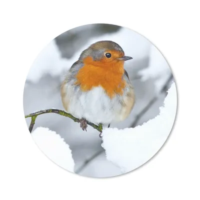Produktbild von MuchoWow® Mauspad Mousepad Rotkehlchen - Schnee - Winter 40x40 cm - Mousepads - Maus Mat - Pad - Mausunterlage - Schreibtisch Accessoires