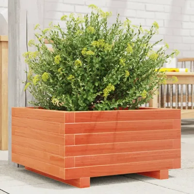 Produktbild von Design Pflanzkübel Wachsbraun 50x50x26,5 cm Massivholz Kiefer, Gabionen 2024 Neu