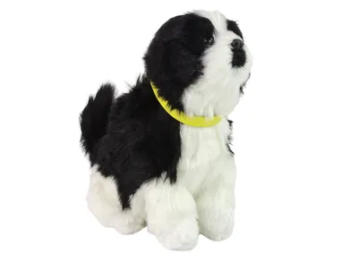 Obrázok produktu pre Interaktívny pes Border Collie Plyšový pes šteká pohybuje chvostom