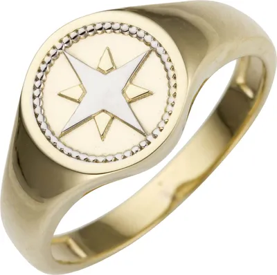 Produktbild von Ring aus 585 Gold Gelbgold bicolor mit Windrose Kompass rund flach Goldring Innenumfang 62mm  Ø19.7mm