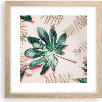Produktbild von Gerahmtes Poster - Rahmen in heller Eiche - Blatt Tropisch Palme - 30x30 cm - Wand Bild - Wanddeko - Wandbilder - Wandposter - Bilderrahmen - Bilder - Kunstdruck - Wandbild - P2NAC30x30-4314