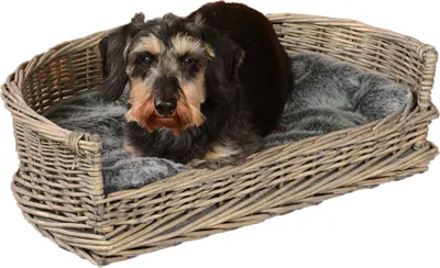 Produktbild von UNUS Hundebett Hundekorb Schlafplatz Hund grau 66 cm mit Kissen