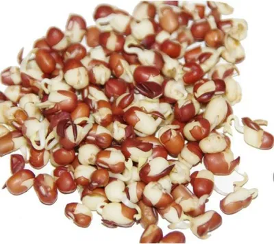 Obrázek produktu pro Adzuki - semínka na klíčení 50 g BIOMISKA
