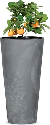 Produktbild von Blumentopf Tubus SLIM EFFECT mit Marengo-Einsatz 30 x57 cm