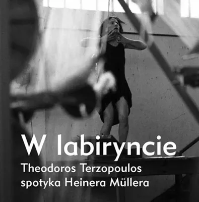 Produktbild von W labiryncie T. Terzopoulos spotyka H. Mullera - Frank Raddatz