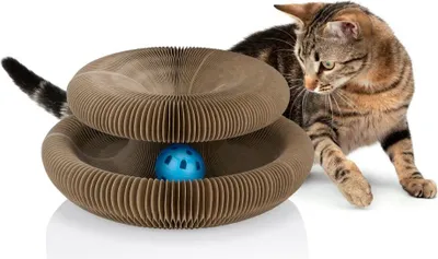 Produktbild von maxxpro Katzenspielzeug Selbstbeschäftigung – Kratzpappe – Katzenminze – Spielzeugball