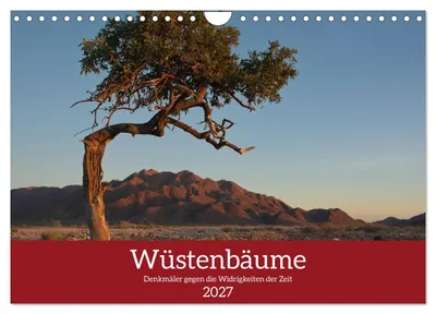 Produktbild von Wüstenbäume (Wandkalender 2027 DIN A4 quer), CALVENDO Monatskalender