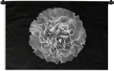 Produktbild von MuchoWow® Wandteppich Wandbehang Blume - Nelke - Schwarz - Weiß 120x80 cm Tapisserie Dekoration Wandtuch - Wanddekorationen - Wandtücher