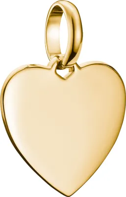 Produktbild von Thomas Sabo Charm Club Connect CC1272-413-39 Charm Anhänger