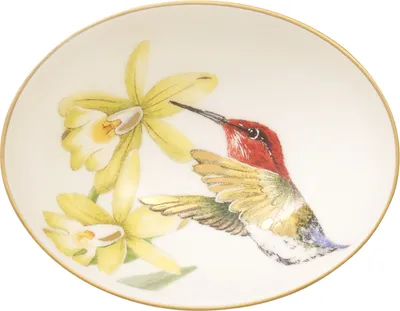 Produktbild von Villeroy & Boch Amazonia Dipschälchen 7x6cm