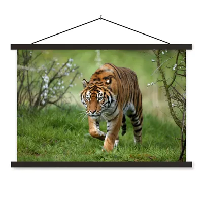 Produktbild von MuchoWow® Textilposter Nahaufnahme eines Sumatra-Tigers 120x80 cm mit schwarzem Rahmen - Wanddeko