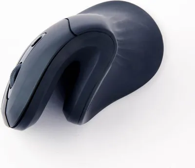 Image de GEMBIRD Gembird MUSW-ERGO-03 mouse Home Right-hand RF Wireless Optical 1600 DPI
