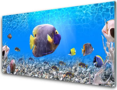 Produktbild von Acrylglasbilder 100x50 Wandbild Druck Fische Natur