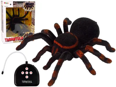 Produktbild von Ferngesteuerte Schwarze Tarantel R/C Spielzeug