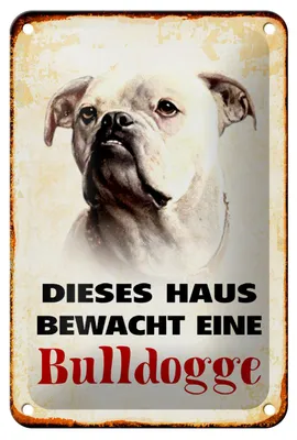 Produktbild von Blechschild Hund 12x18cm dieses Haus bewacht eine Bulldogge
