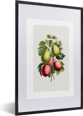 Produktbild von MuchoWow® Gerahmtes Poster Lebensmittel - Feigen - Pflanze 40x60 cm - Poster mit Schwarzem Bilderrahmen Wandposter Rahmen Foto Bilder - Poster in Rahmen