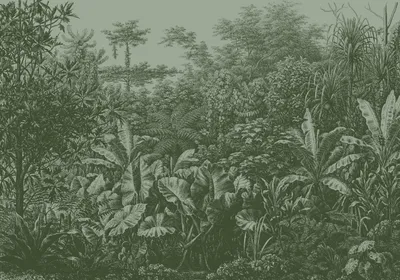 Produktbild von Fototapete Vlies LOOKS 121029 Rainforest grün 7-tlg. 350 x 270 cm