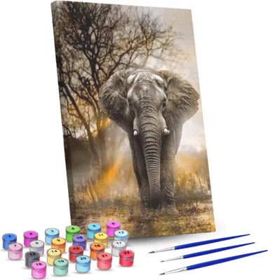 Produktbild von Rubye® Malen nach Zahlen Erwachsene und Kinder [Elefant] - DIY Ölgemälde Set - Inklusive Pinsel, Staffelei und Farben - 40 cm x 50 [Ohne Ramen]