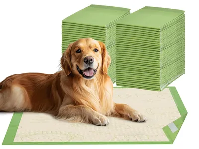 Hygienematten für Hunde, 50 Stück, 60x90 cm, saugfähig, rutschfest